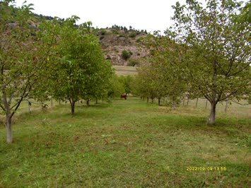 Murat Dursun Galeri