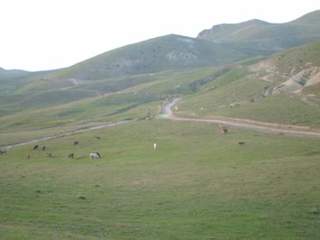 Arsiyan Yaylası bu resimlere baktıkca ağlamamak için kendimi zor tutuyom...