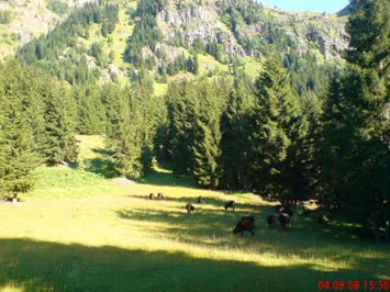 Yayla Yolu - Kanat