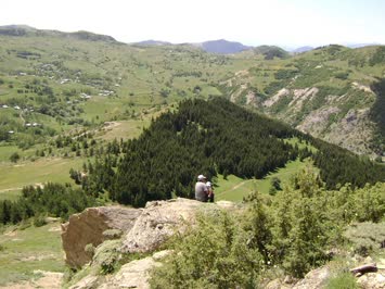 Seslavur