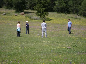 Seslavur