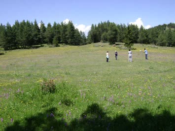 Seslavur