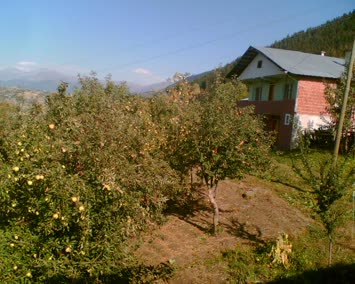 Soporo