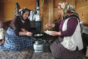 Peynir Eritmesi