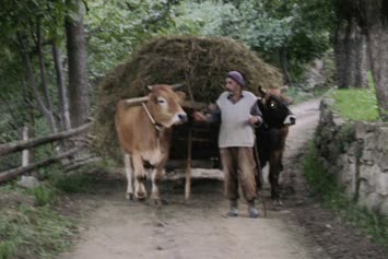 Seslavur