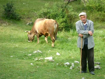 şero emi okuzlari otariyer