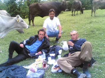 piknik