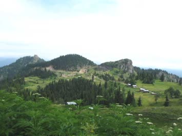 Atanur Durmuş