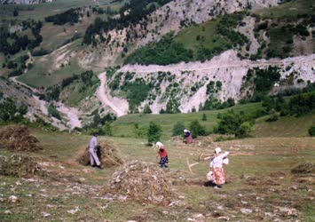 ekliyen mansur demirpehlivan