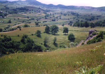 ekliyen mansur demirpehlivan