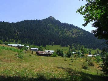Ustamis