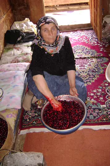 Seslavur