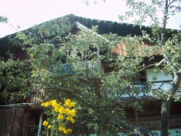 Erdinç Şahin