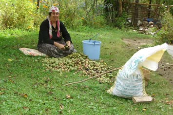 Gülperi Yenge