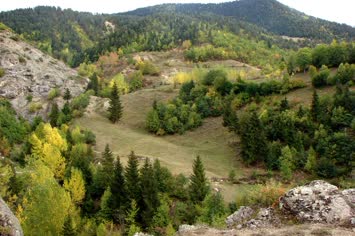 Ucamurta-Tarlalar
