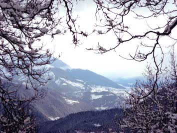 Meşelide Kış