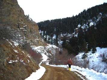 Meşelide Kış