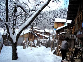 Meşelide Kış