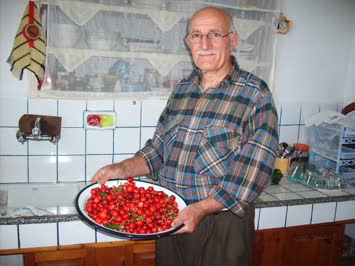 Kireza galll...