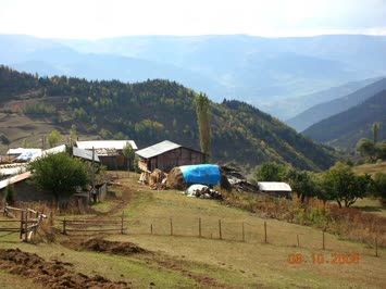Sonbahar 2008