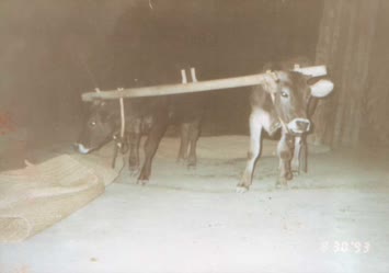 nostalji (bunlar aslında duga)