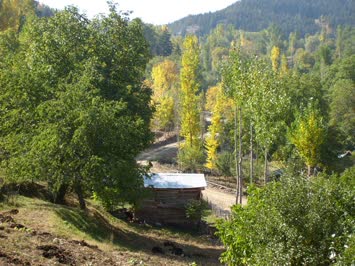 Yamaçlı