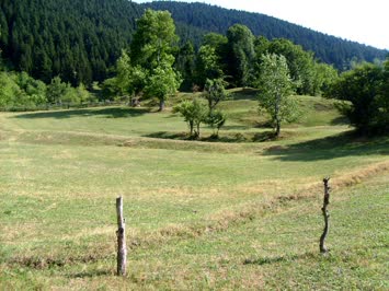Yamaçlı