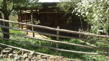 Şavşat çamlıca köyü