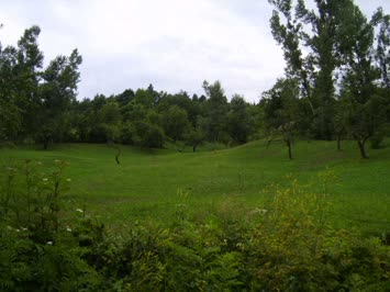 Ankliya Resimleri