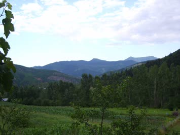 Ankliya Resimleri