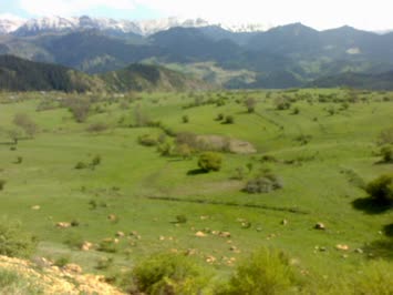 10.05.2009 Yaşar Köyü Adnan Bilir