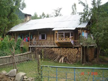 Hanemiz