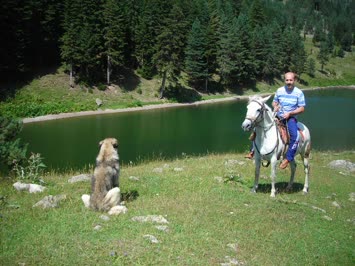 Galerim - Alper Sancar