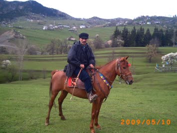 mamanelisin yer mantarı hanifi özkan