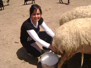 demet...konya-kadınhanı