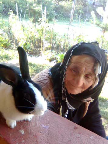 hediye kartal ve kadife