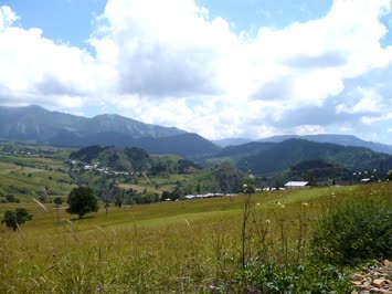 Ağustos 2009