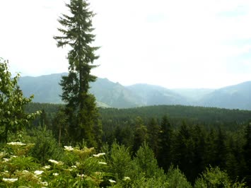 Ağustos 2009