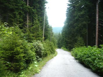 Ağustos 2009