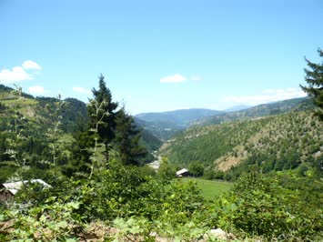 Ağustos 2009