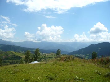 Ağustos 2009