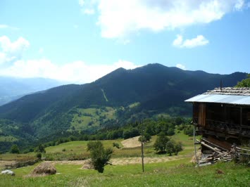 Ağustos 2009