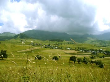Ağustos 2009