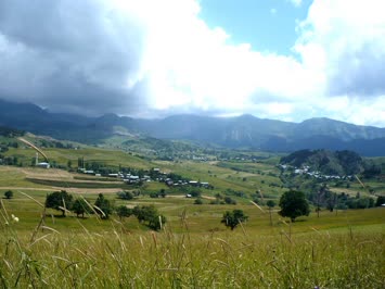 Ağustos 2009