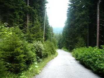 Ağustos 2009