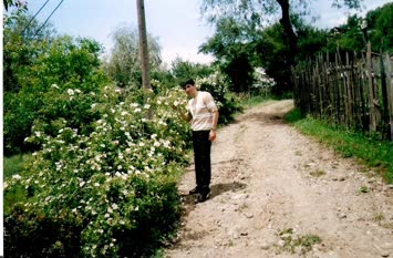 gölaçayır