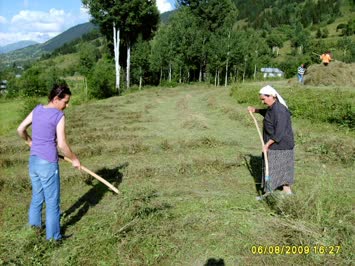 2009 Memleket:-))