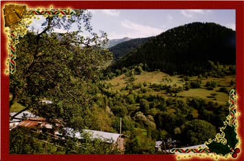 ayvandan agaranın meşasi