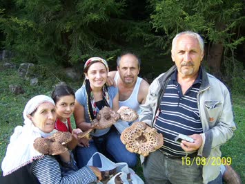 Vardevlanın dibinde toplanan mantarlar ve biz