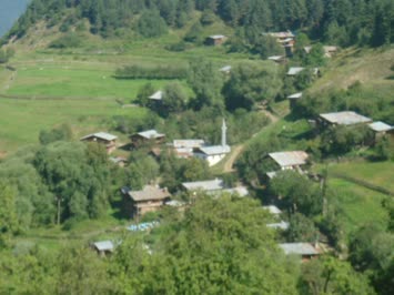 turmanize